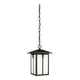 Generation Lighting - Tomek Outdoor Pendant - Lights Canada