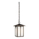 Generation Lighting - Tomek Outdoor Pendant - Lights Canada
