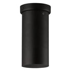 Eglo - Tortoreto Flush Mount - Lights Canada