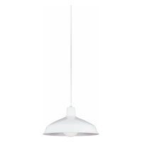 Painted Shade 1-Light Pendant