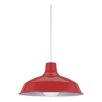 Painted Shade Pendant