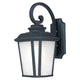 Maxim Lighting - Radcliffe LED E26 Outdoor Wall Light - Lights Canada
