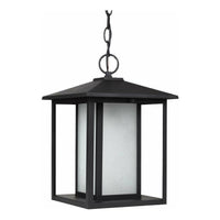 Hunnington 1-Light Outdoor Pendant