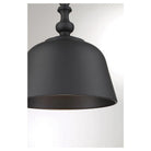 Savoy House - Berg Pendant - Lights Canada