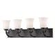 Z-Lite - Halliwell Vanity Light - Lights Canada