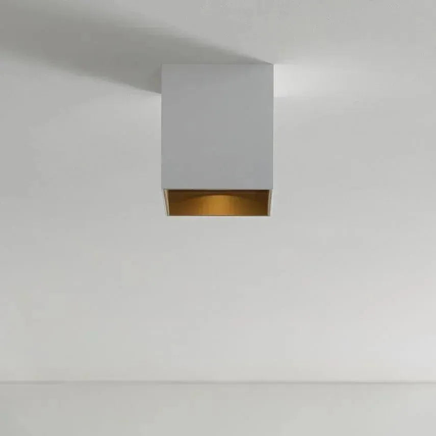 Visual Comfort Modern Collection - Exo 6 Flush Mount - Lights Canada