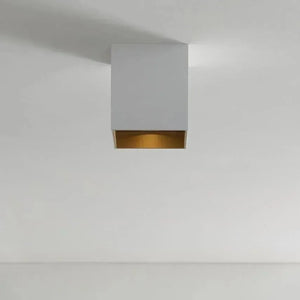 Visual Comfort Modern Collection - Exo 6 Flush Mount - Lights Canada