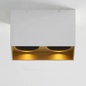 Visual Comfort Modern Collection - Exo 6 Dual Flush Mount - Lights Canada