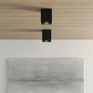 Visual Comfort Modern Collection - Exo 6 Flush Mount - Lights Canada