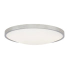 Visual Comfort Modern Collection - Vance 13 Flush Mount - Lights Canada