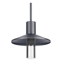 Ash 12 Outdoor Pendant