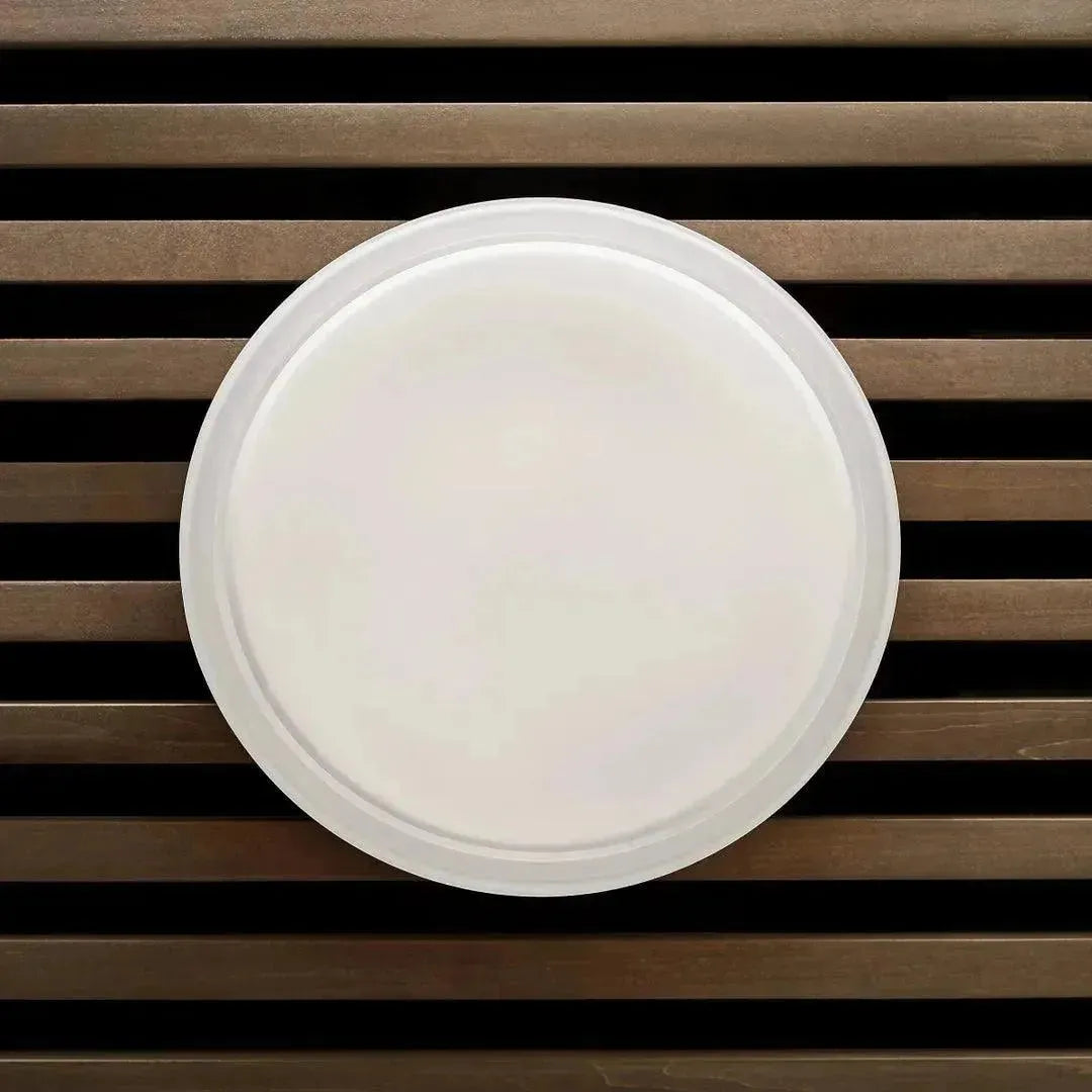 Visual Comfort Modern Collection - Cirque Large Outdoor Flush Mount - Lights Canada