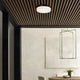 Visual Comfort Modern Collection - Cirque Large Outdoor Flush Mount - Lights Canada