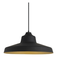 Zevo Pendant