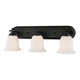 Z-Lite - Lagoon Vanity Light - Lights Canada