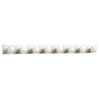 Vanity Light