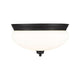 Z-Lite - Amon Flush Mount - Lights Canada