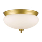 Z-Lite - Amon Flush Mount - Lights Canada