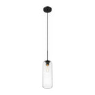 Z-Lite - Monty 1-Light 22" Pendant - Lights Canada