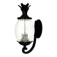 Lanai Outdoor Wall Light