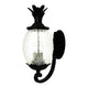 Acclaim - Lanai Outdoor Wall Light - Lights Canada