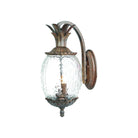 Acclaim - Lanai Outdoor Wall Light - Lights Canada