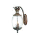 Acclaim - Lanai Outdoor Wall Light - Lights Canada