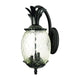 Acclaim - Lanai Outdoor Wall Light - Lights Canada