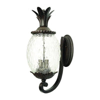 Lanai Outdoor Wall Light