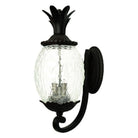 Acclaim - Lanai Outdoor Wall Light - Lights Canada