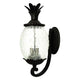 Acclaim - Lanai Outdoor Wall Light - Lights Canada