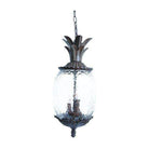 Acclaim - Lanai Outdoor Pendant - Lights Canada