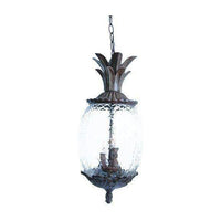 Lanai Outdoor Pendant