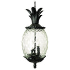 Acclaim - Lanai Outdoor Pendant - Lights Canada