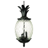 Lanai Outdoor Pendant