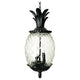 Acclaim - Lanai Outdoor Pendant - Lights Canada
