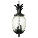 Acclaim - Lanai Outdoor Pendant - Lights Canada