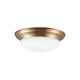 Generation Lighting - Nash 1-Light Flush Mount - Lights Canada