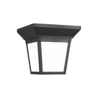 Generation Lighting - Lavon Outdoor Ceiling Light - Lights Canada