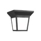Generation Lighting - Lavon Outdoor Ceiling Light - Lights Canada