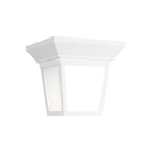 Generation Lighting - Lavon Outdoor Ceiling Light - Lights Canada