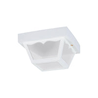 Outdoor Ceiling Light