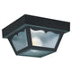 Generation Lighting - Outdoor Ceiling Light - Lights Canada