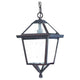 Acclaim - Bay Street Outdoor Pendant - Lights Canada
