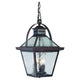 Acclaim - Bay Street Outdoor Pendant - Lights Canada