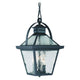 Acclaim - Bay Street Outdoor Pendant - Lights Canada