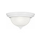 Generation Lighting - Geary 1-Light Flush Mount - Lights Canada