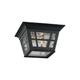 Generation Lighting - Herrington Outdoor Ceiling Light - Lights Canada