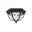Generation Lighting - Wynfield Outdoor Ceiling Light - Lights Canada