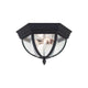 Generation Lighting - Wynfield Outdoor Ceiling Light - Lights Canada